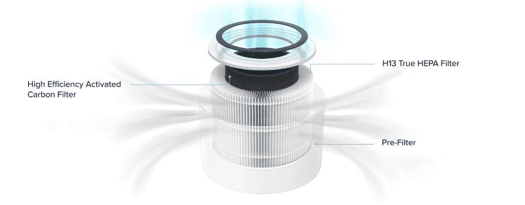 Why Do I Need An Air Purifier?