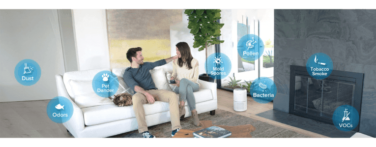 Why Do I Need An Air Purifier?
